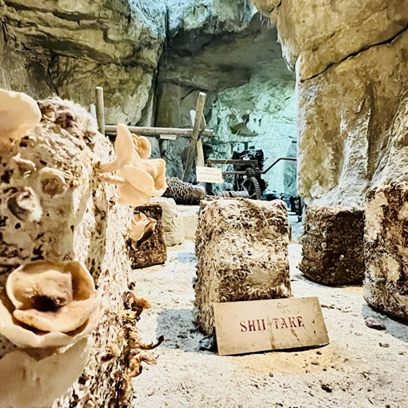 L'Anjou Insolite 2026